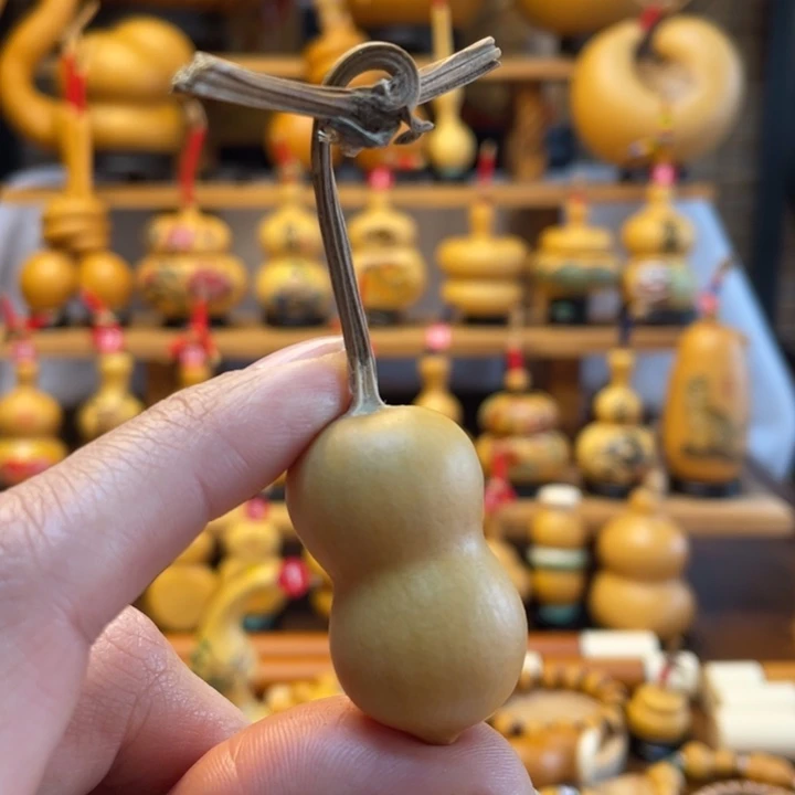 水**扬天然葫芦自然生长飞扬