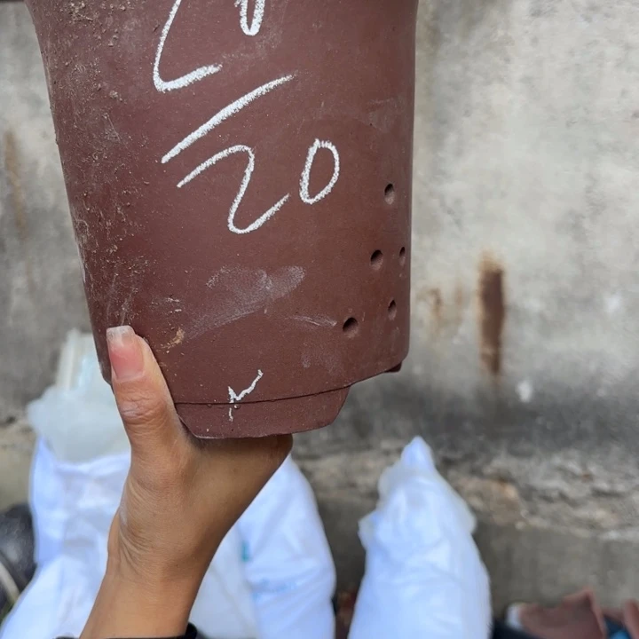 茶壶紫砂紫砂的颜色