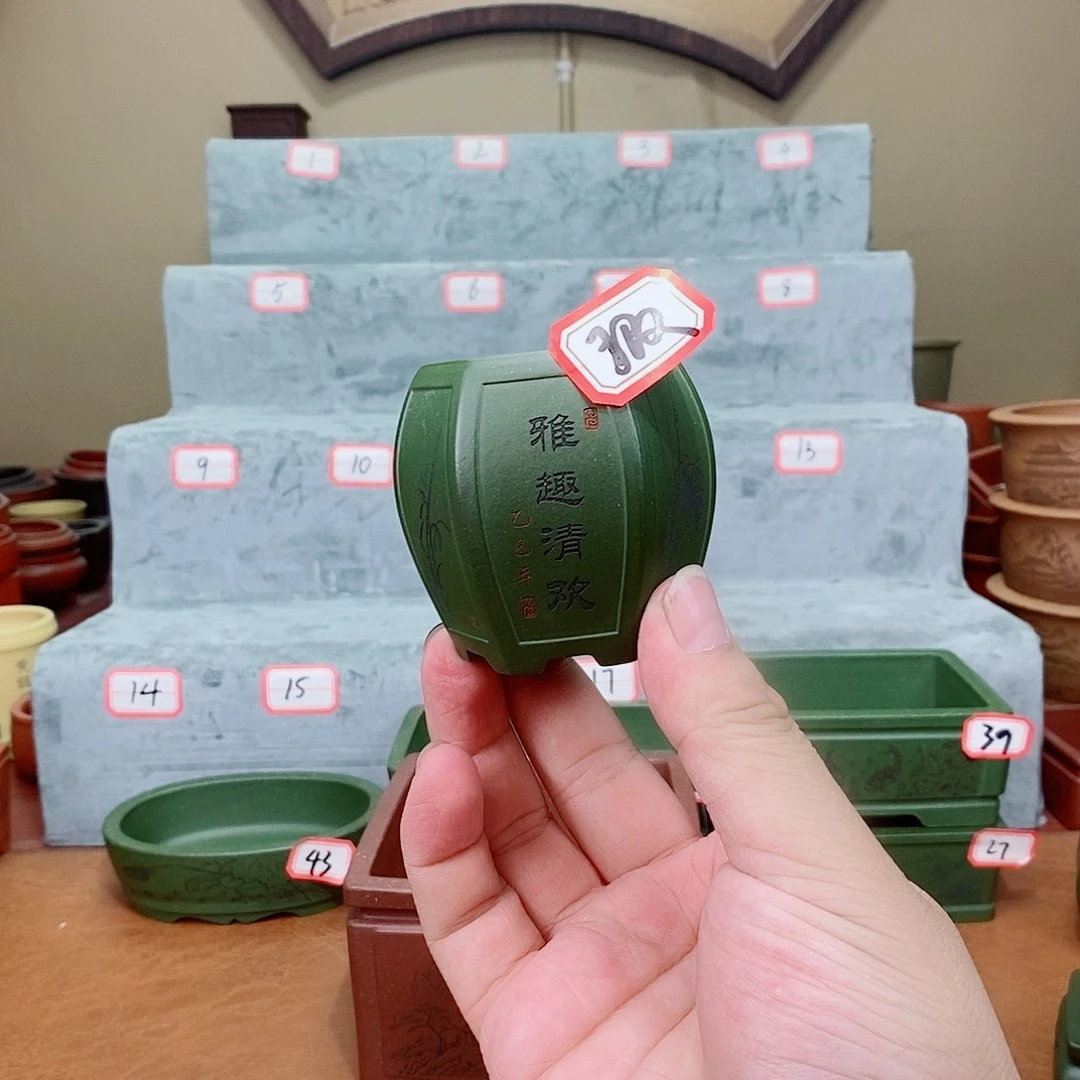 紫砂花盆我在看书