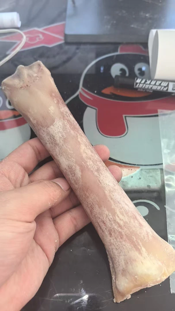 非遗雕刻手把骨头  顺