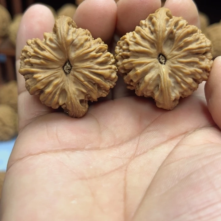 完全开放じ****ゞ南疆石