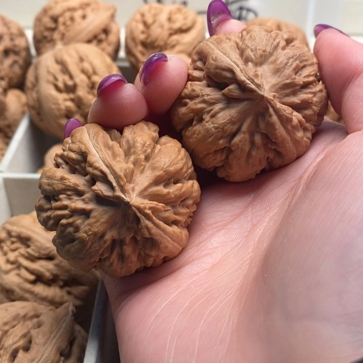 我***的文玩核桃吊坠霸王龙