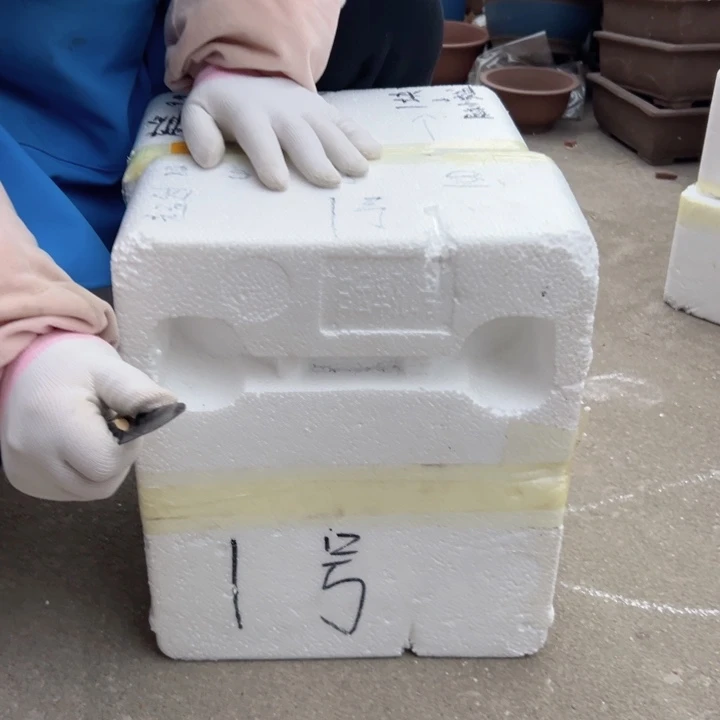 箱子1号花盆花盆花盆花盆花盆