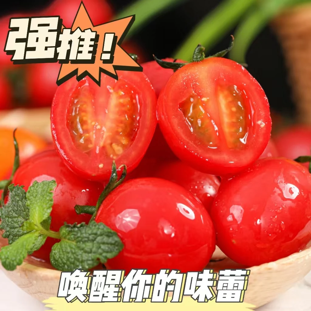 广西新鲜圣女果西红柿水果自然现摘助农水果番茄小柿子