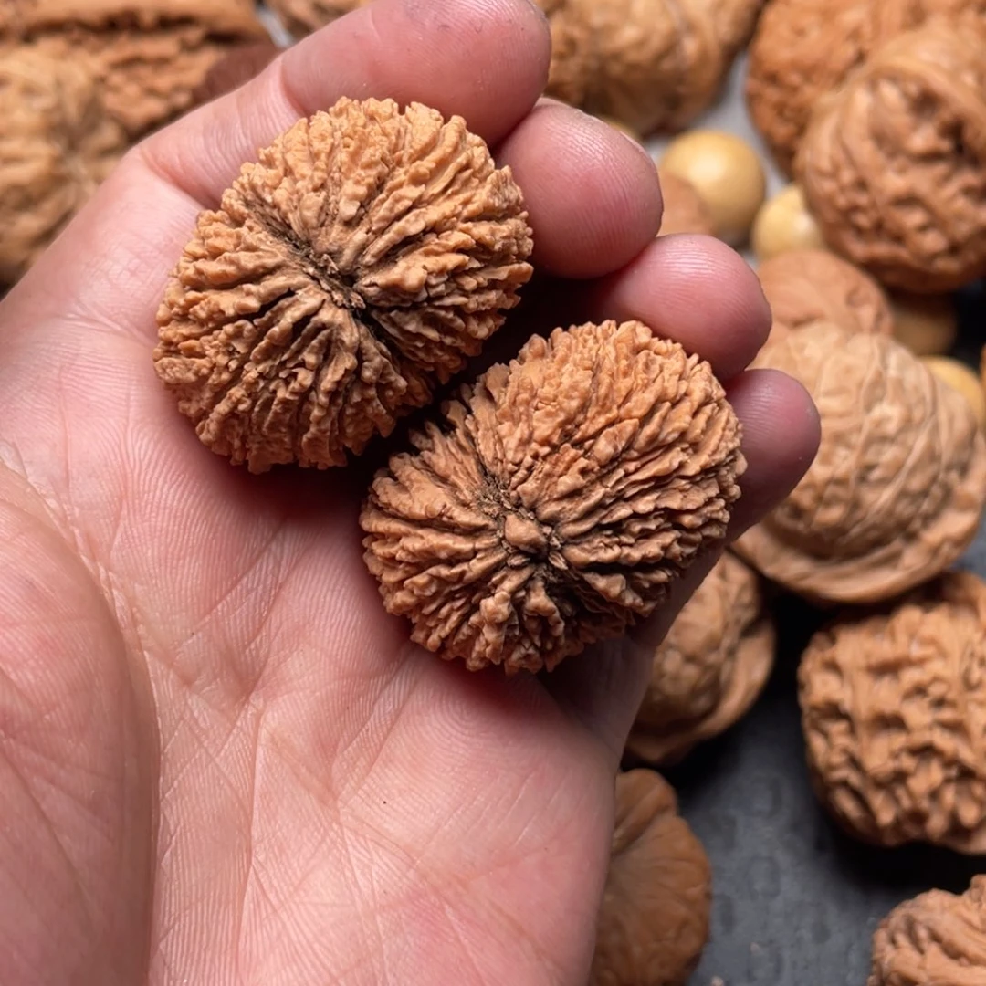 文玩核桃把件9***！猴头