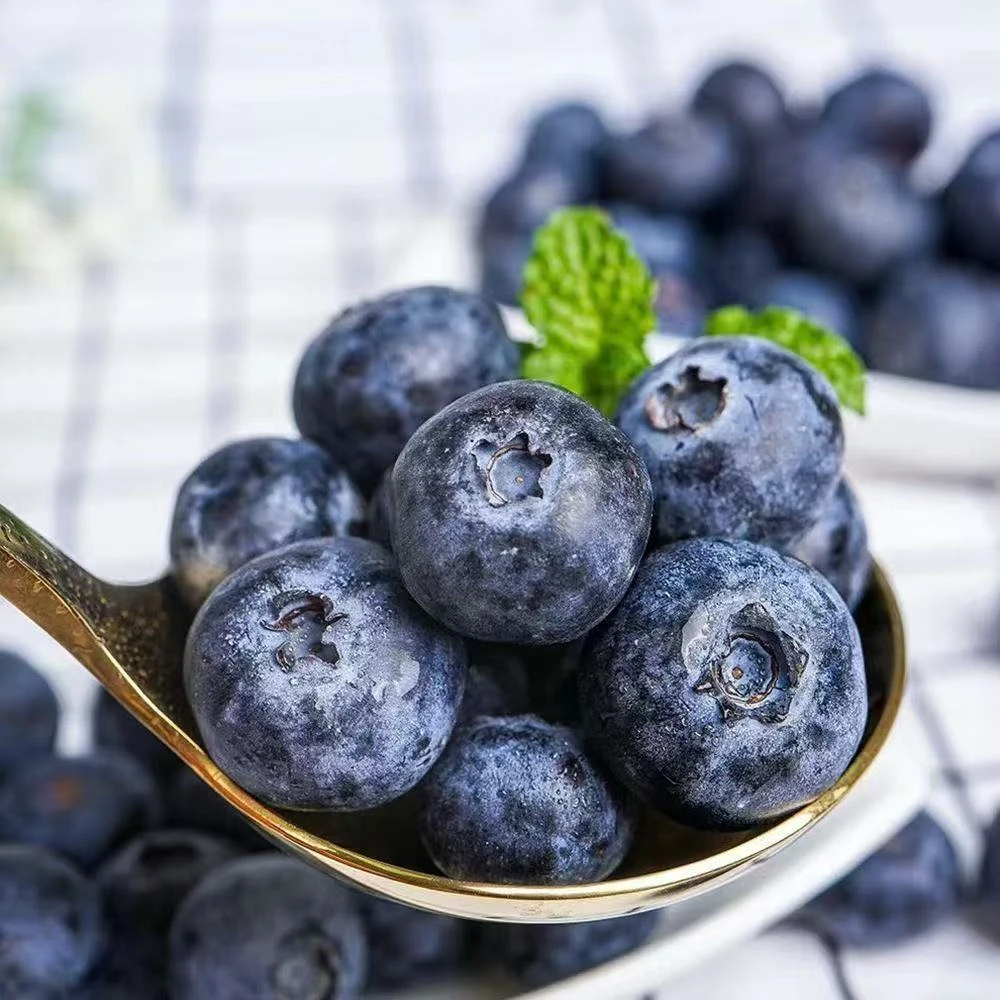 【当季限量】 秘鲁进口蓝莓新鲜采摘当季水果