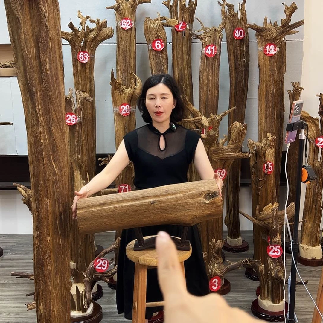 摆件沉香沉香摆件