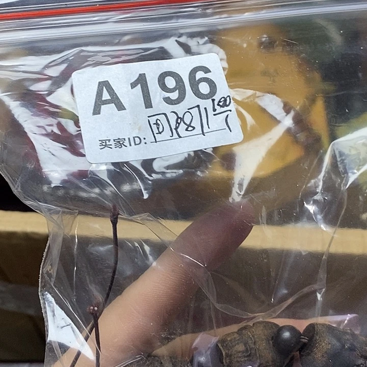 用***2香榧木一会你去吗回不