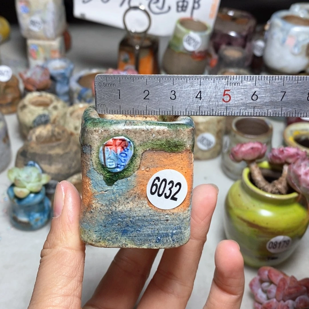 花盆拍3送一个小礼物