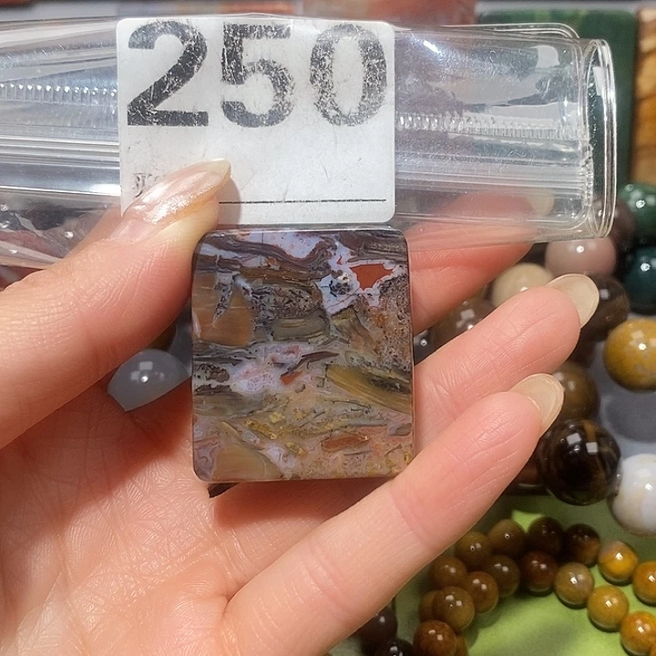 硅化玉未镶嵌天然北票树化玉吊坠