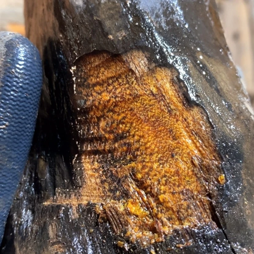 【闪购商品】把件贡木龙****?私人定制