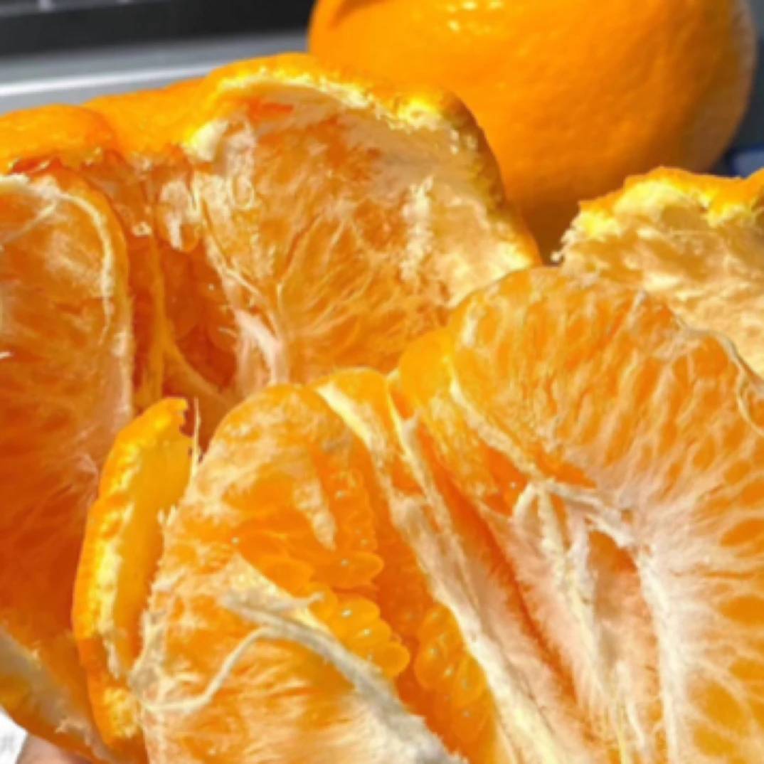 【同城送货上门】四川春见耙耙柑5斤