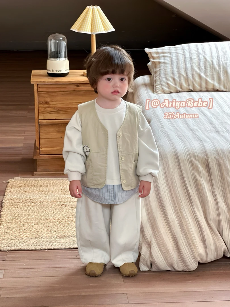 阿瑞雅·2025秋 卫衣套装 A208 / 马甲 A207