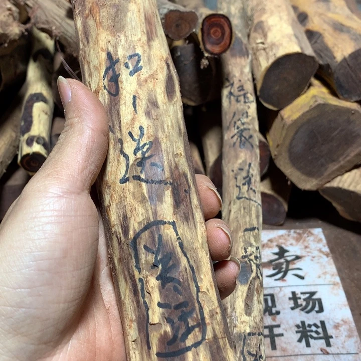 大果紫檀（缅甸花梨）哪***子