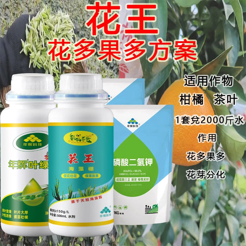 【熊猫哥哥推荐】花王方案 促花壮花 促花芽分化 花多果多