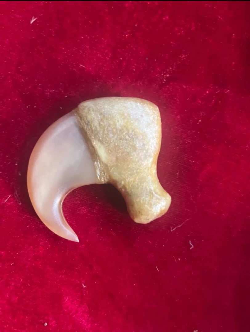 阿缅山货特产（h—-抓）链接