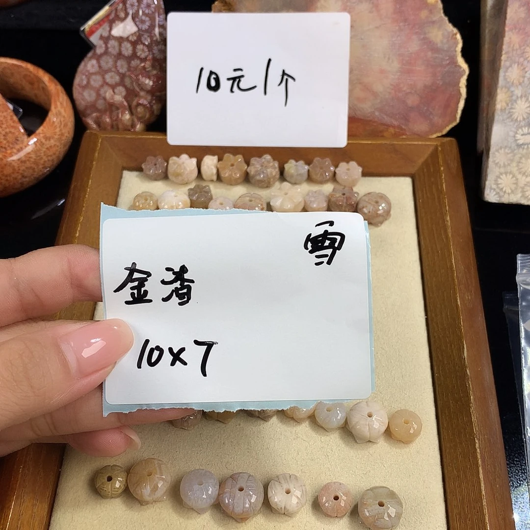 金****吊坠(赠链)未镶嵌硅化珊瑚（珊瑚玉）