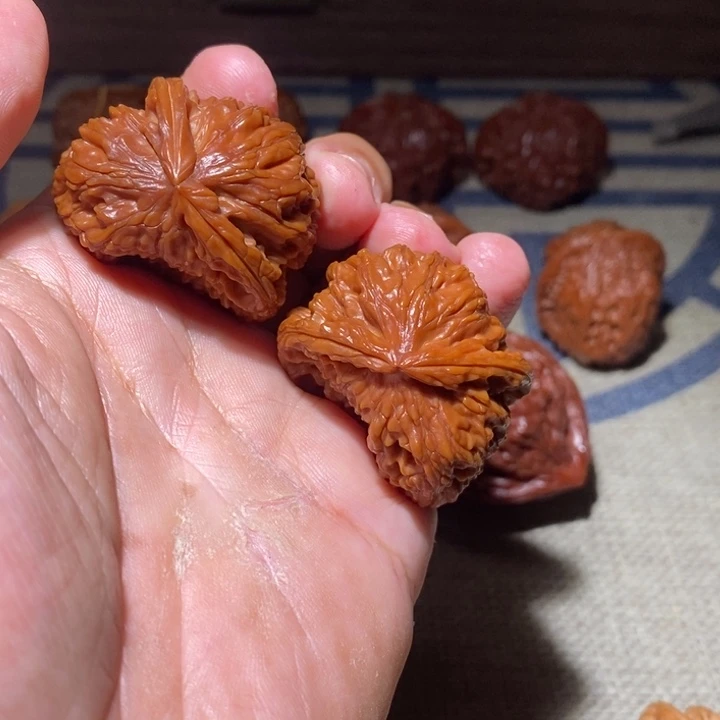 根***红把件文玩核桃核桃