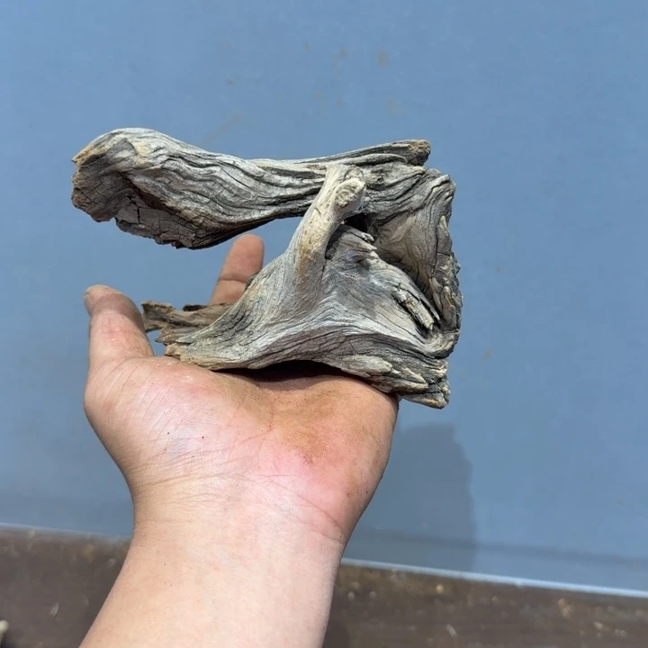 柏木会*出k看看坎坎坷坷斤斤计较