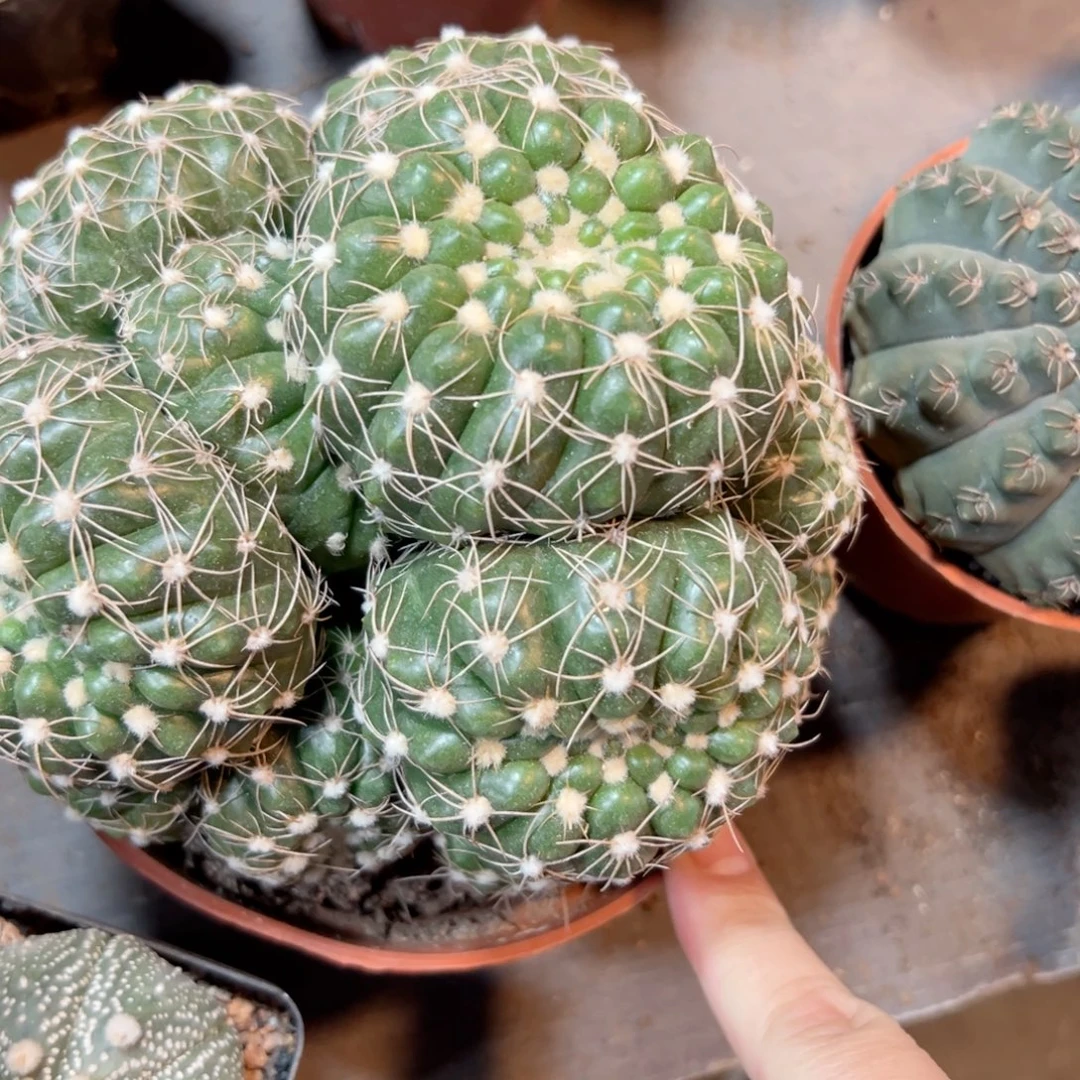 8***6哈哈哈哈哈哈哈哈哈哈