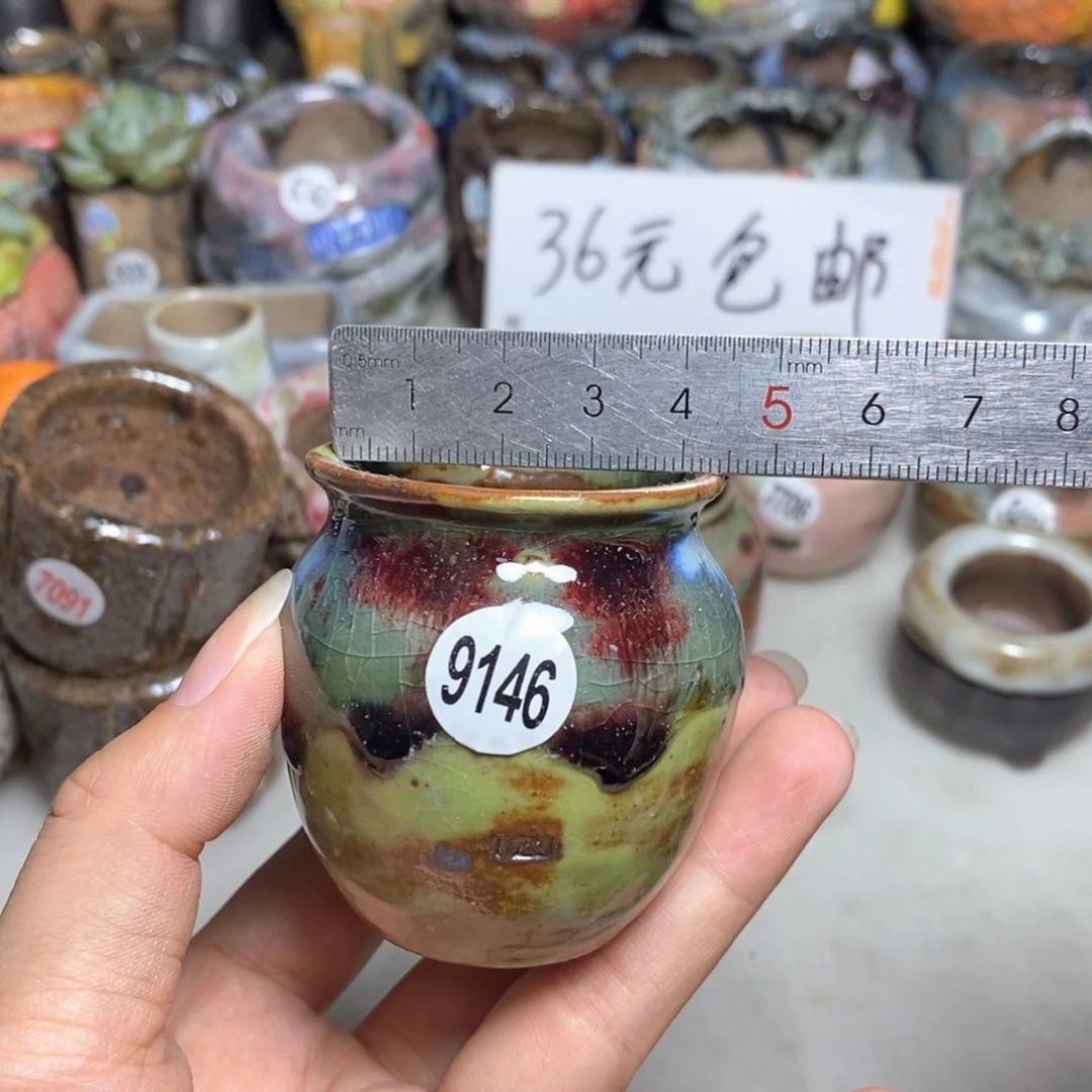 拍5送一个小礼物