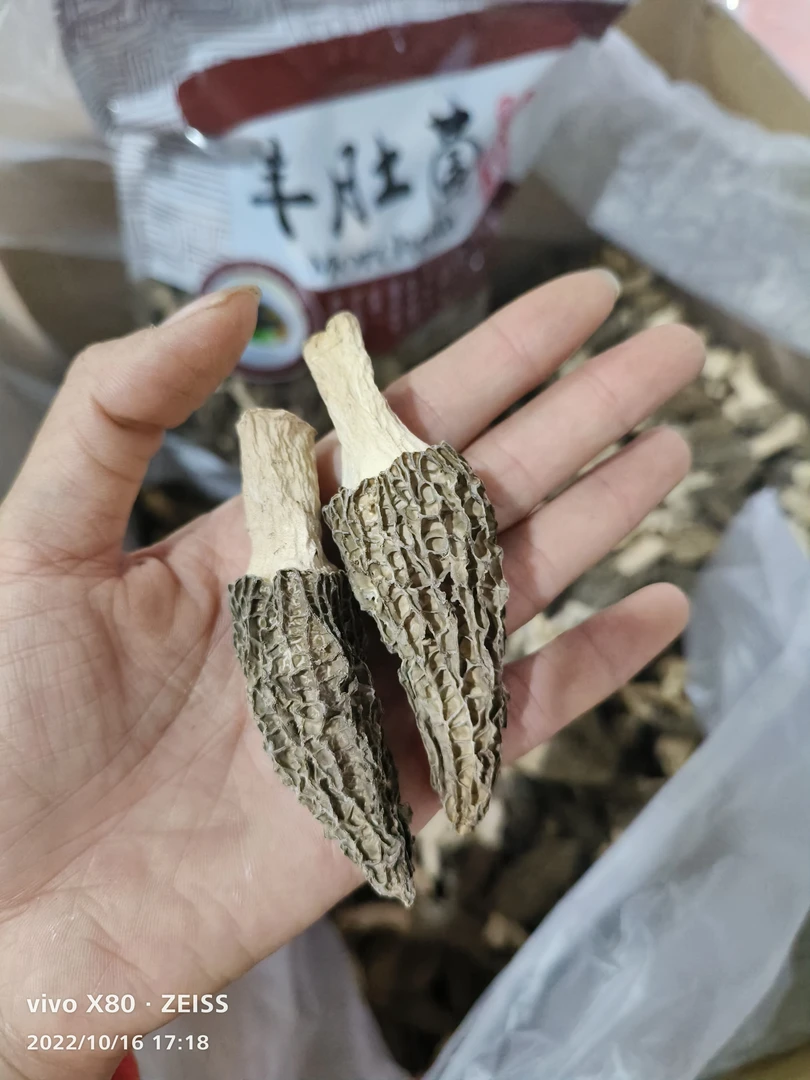 羊肚菌特价菌菇煲汤