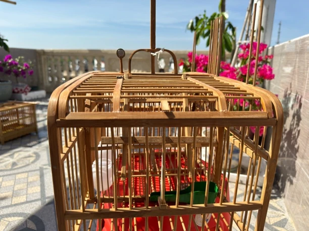 画眉打笼防风笼画眉鸟八哥拍笼防风踏笼上山笼防风鸟笼机关笼子