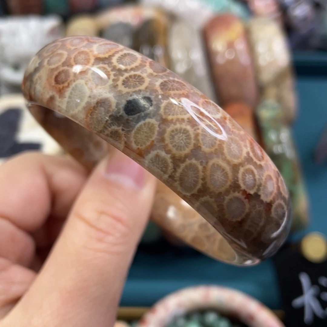 未镶嵌手镯硅化玉