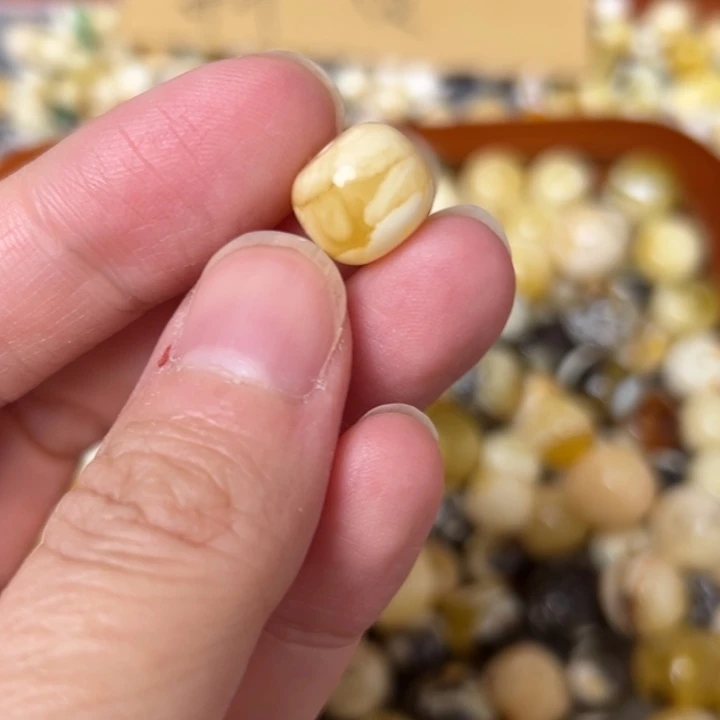 蜜蜡未镶嵌裸石11mm一个