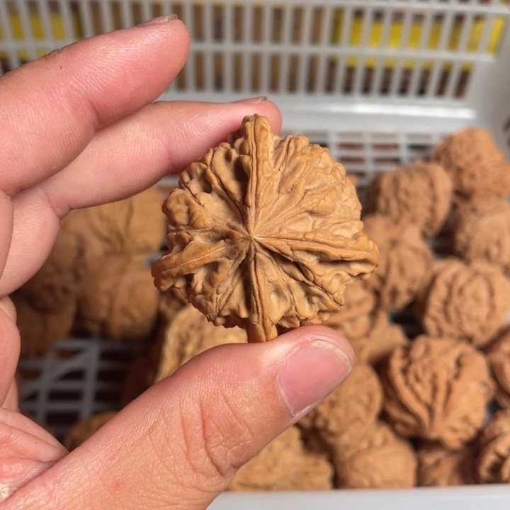 文玩核桃把件钱**荡核桃