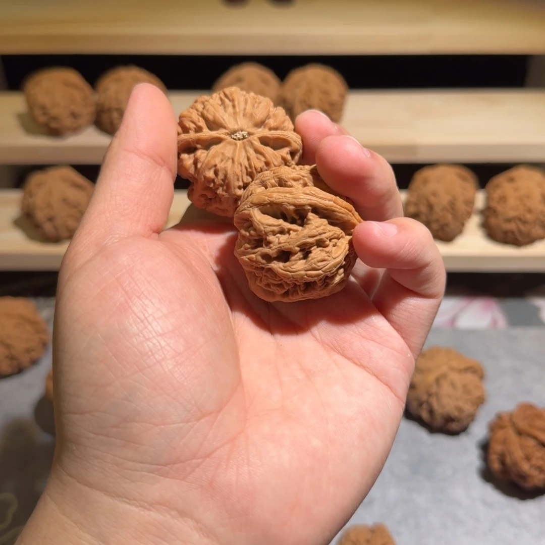 d***d大叶紫檀（黑酸枝木类）