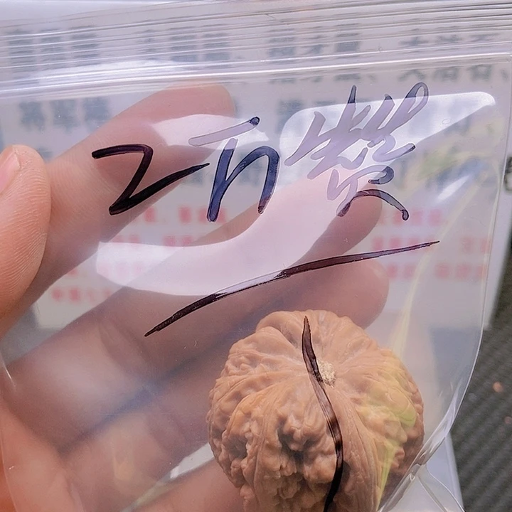 【闪购商品】文玩核桃把件石*大不筋