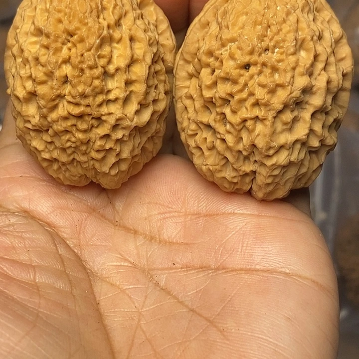 把件文玩核桃云南铁核桃99