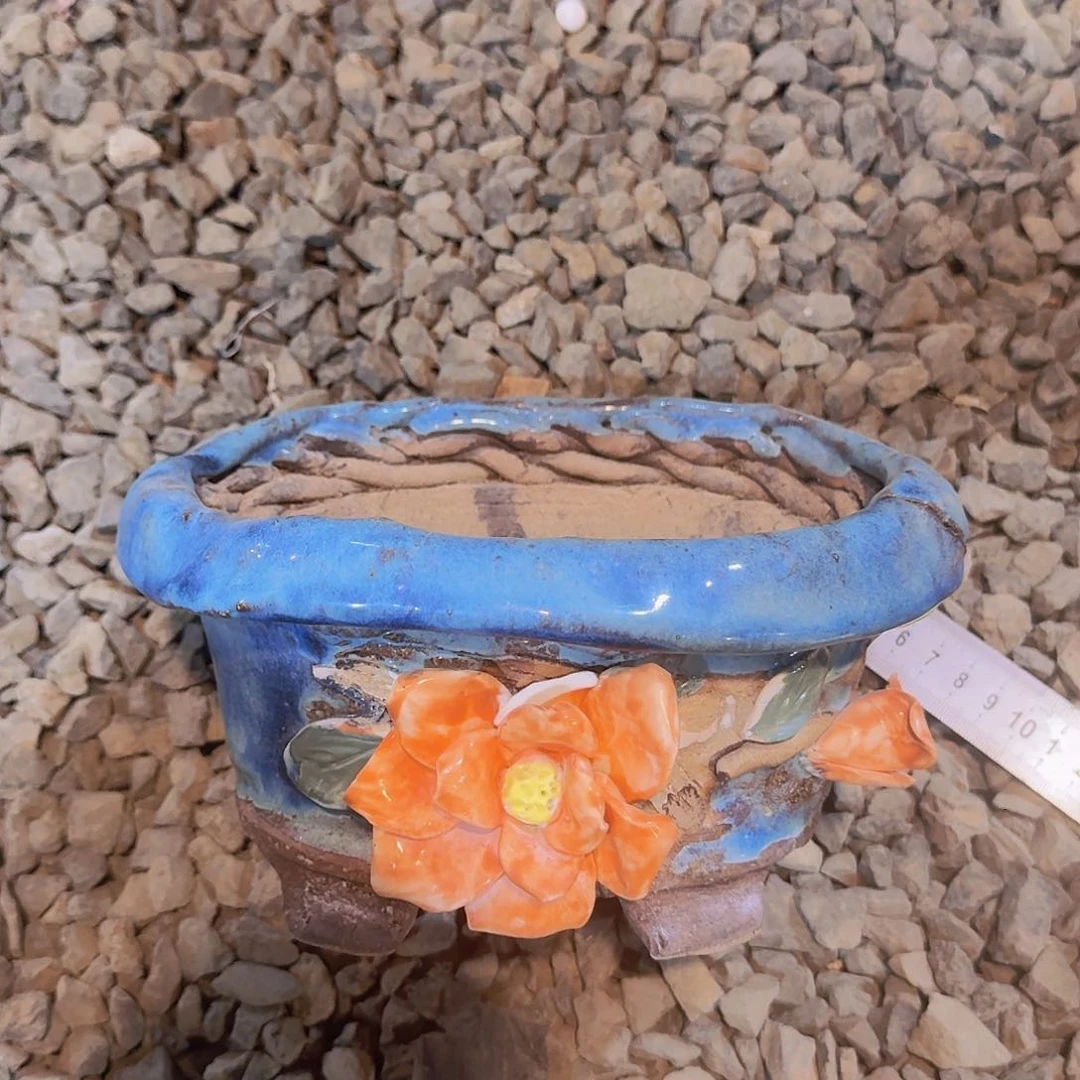 给欢欢叫姐姐斤斤计较