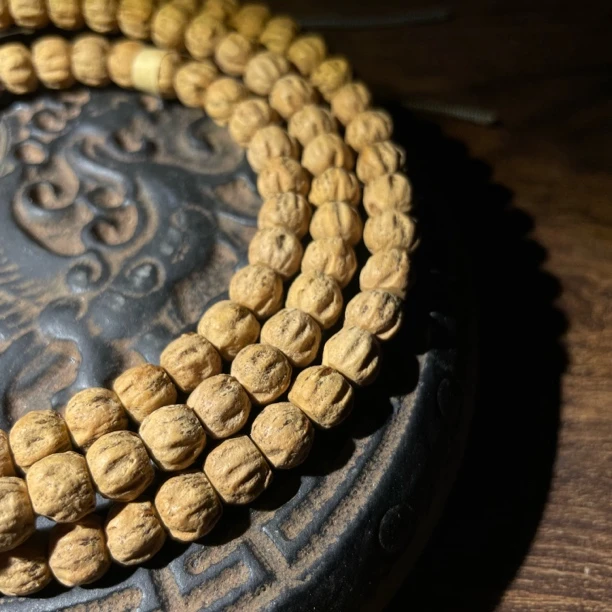 热振红芽红油皮南瓜桩