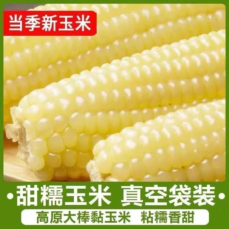 【辛平优选】白糯玉米粘玉米真空包装苞米低脂粗粮代餐杂粮