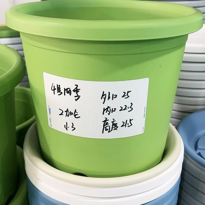 特价4号四季口25高21.5白色无托8个