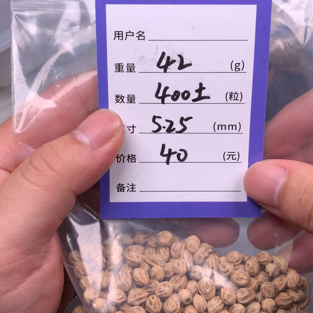 柏香籽/百香籽吊坠