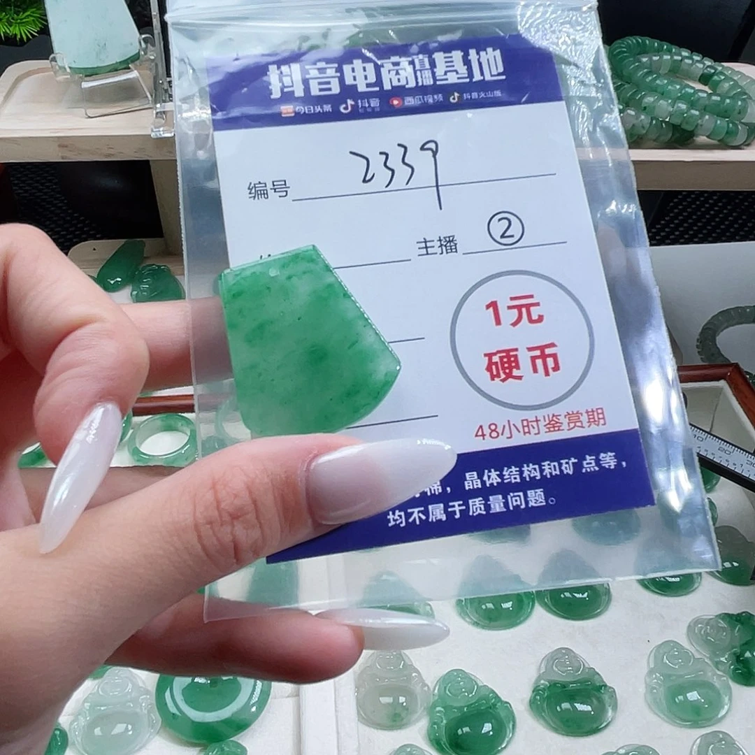 石英质玉未镶嵌颈饰