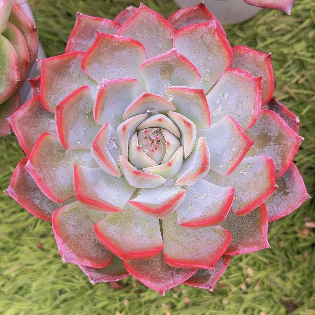 1号9888888889888888