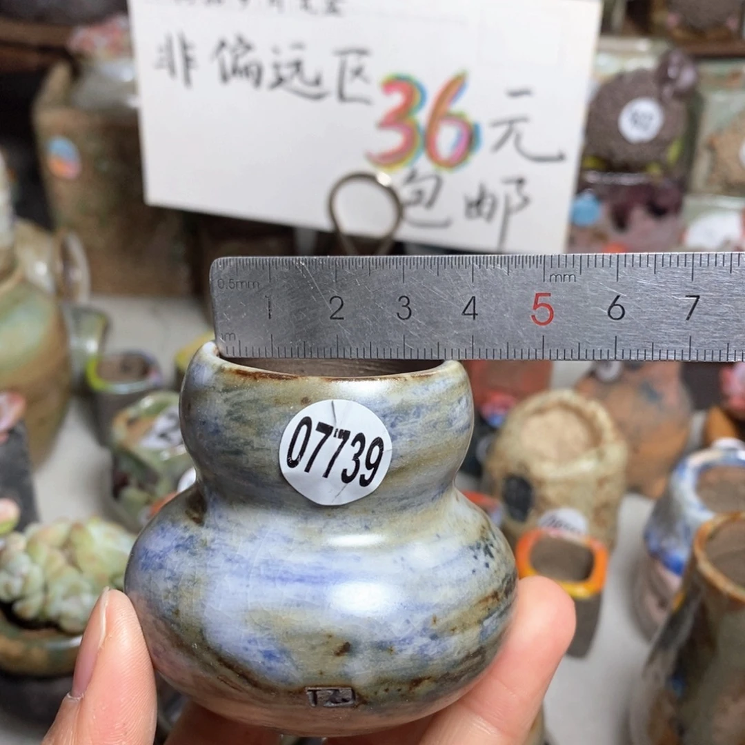 花盆拍5送一个小礼物