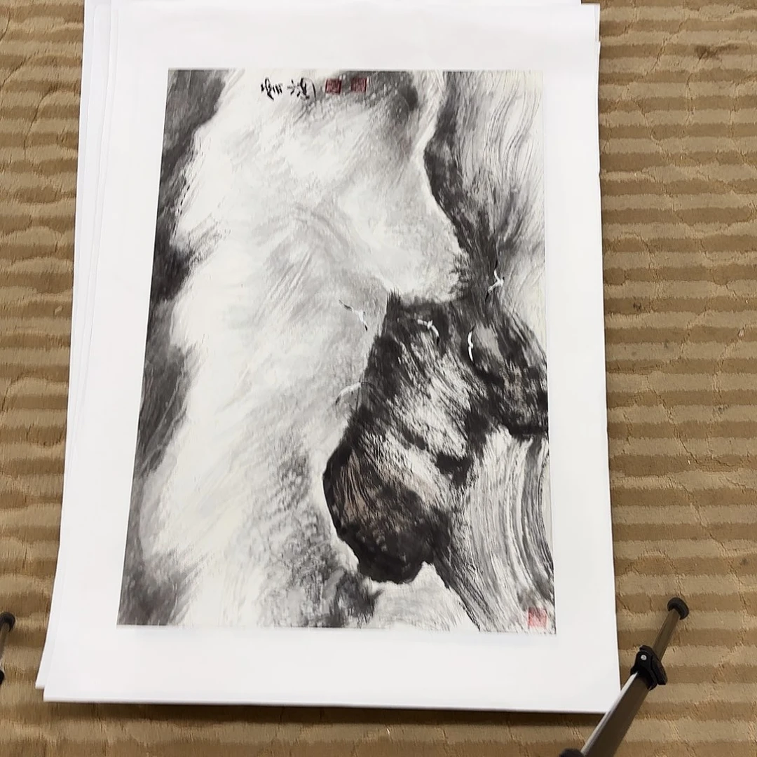 国画花鸟的翅膀和羽毛的70.45