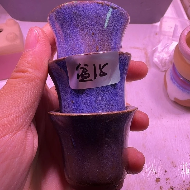 盆15，圆形拇指3个，闲置处理不介意的拍！