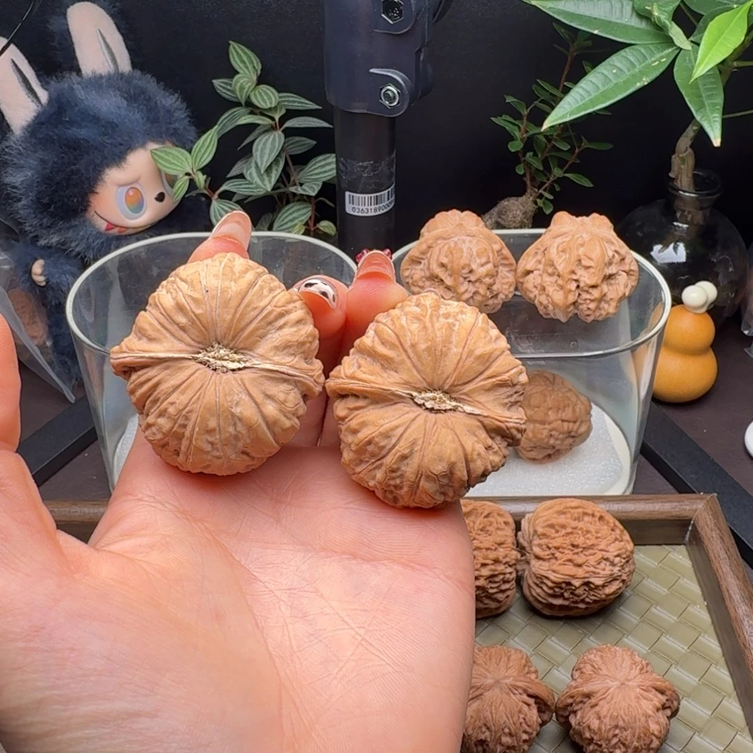 龙脊菩提把件全品南瓜饼44