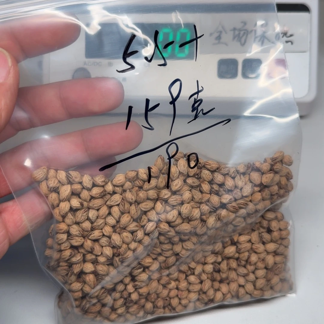 奔***子柏香籽/百香籽吊坠