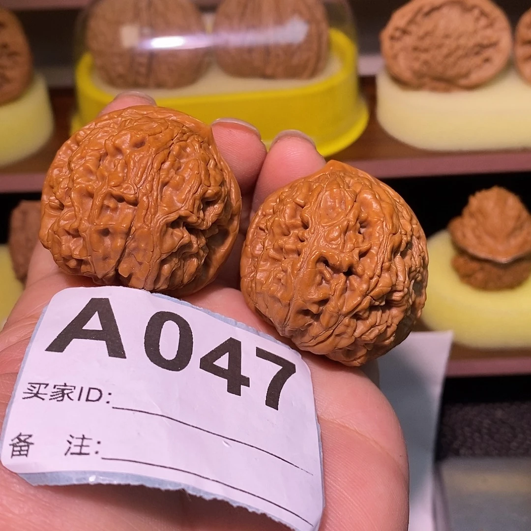 文玩核桃把件38水龙纹异形