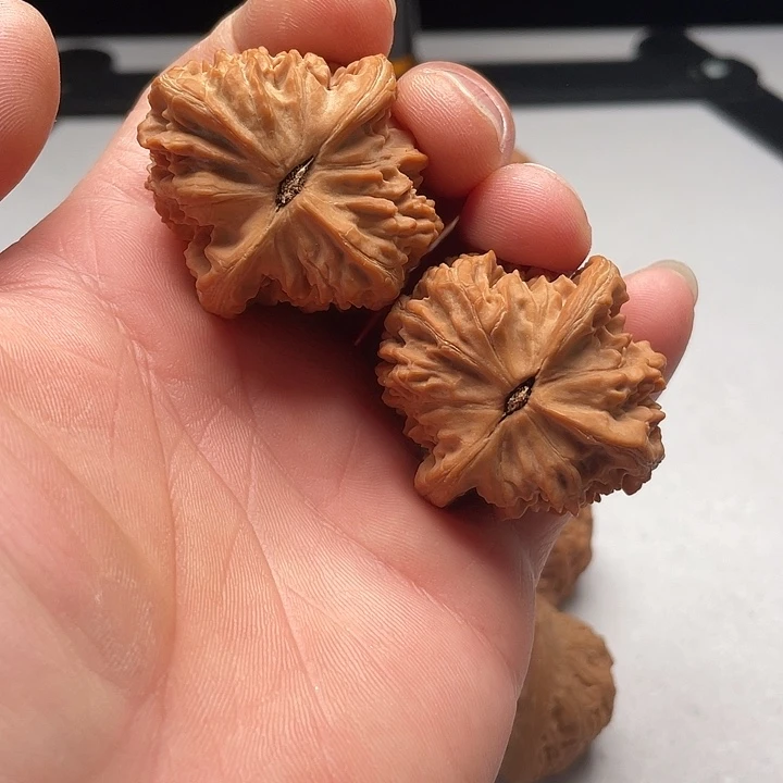 吊坠文玩核桃粗筋马蹄