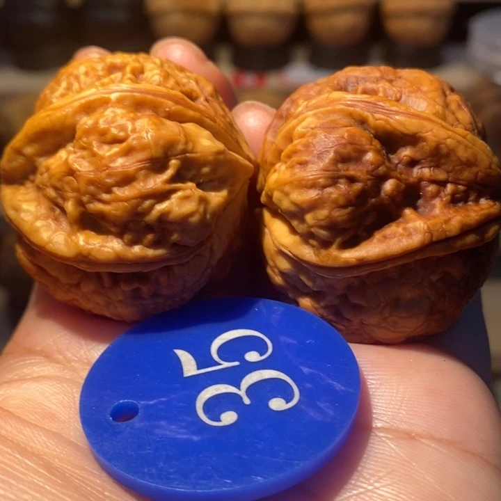 10号链接天使之眼42尺