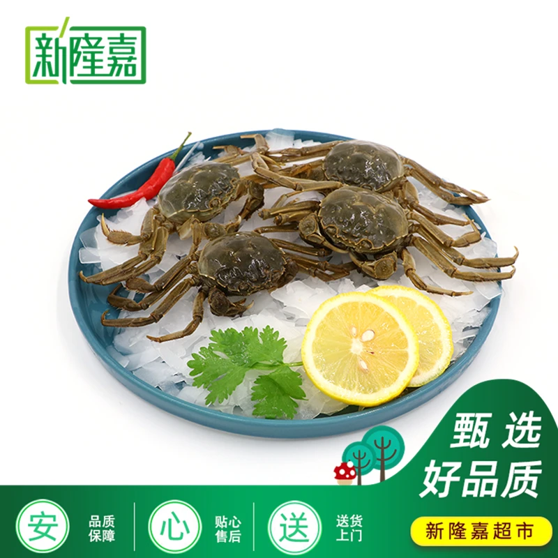 【天丰店】鲜活  大闸蟹公 2.8-3.2两一只 （保活）