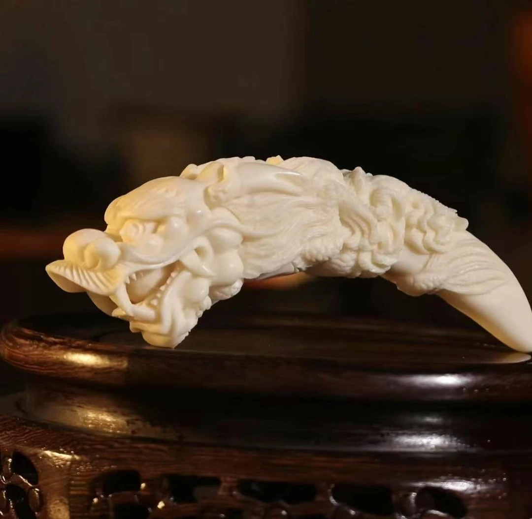 大号粗龙牙尖112mm，象牙果，创意礼品